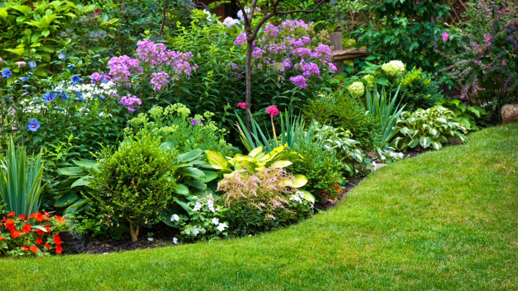 Blooming Minds: Community Gardens and Urban Farming for Stress Reduction